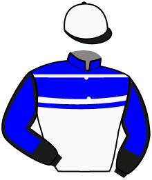 Casaque de DOWHATYOUDODOWELL