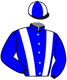 Casaque de PEGASE BAILLEUIL