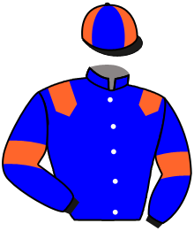 Casaque de LONDONPOLO