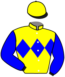 Casaque de LOUP D'ARGENT