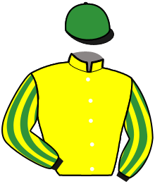 Casaque de INDY DE LANDEMER