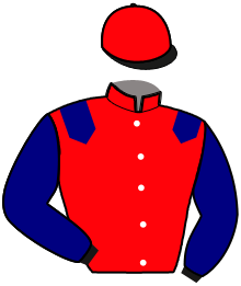 Casaque de IRIS DE MEMARTIN