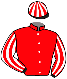 Casaque de BAY CITY ROLLER