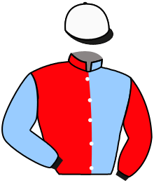 Casaque de LEMSAIRBAT