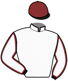 Casaque de LEXINGTON DANICA