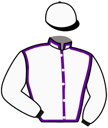 Casaque de ARABIAN FEVER