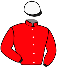 Casaque de L'AMERICAIN