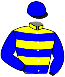 Casaque de THE WHEEL