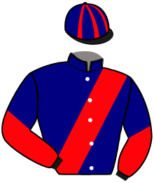 Casaque de KING ELVIS