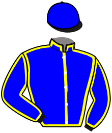 Casaque de KINGSLAYER PELLINI