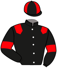 Casaque de LEFFE DU BRISSE