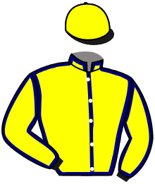 Casaque de ARABIAN FORCE