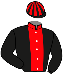 Casaque de LADY DU COUDOU