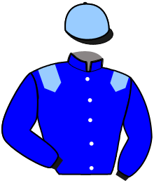 Casaque de NABUCCO BLUES