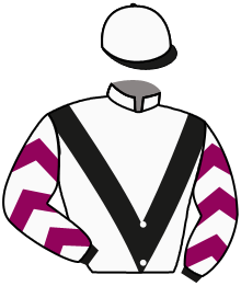 Casaque de NO LIMIT DREAM