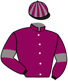 Casaque de MISTY MORNING