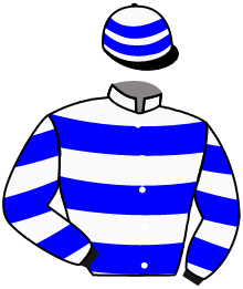 Casaque de WOOD STORM