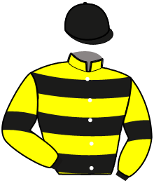 Casaque de NO DOUBT DU SAPTEL