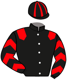 Casaque de MEDIEVALE