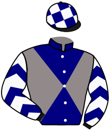 Casaque de LANCEUR D'ALERTE