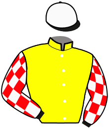 Casaque de NAME IS DAIRPET