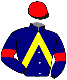 Casaque de NUMBER TWO