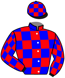 Casaque de MYRTILLE DU NOYER