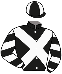 Casaque de FOX PAPA TANGO