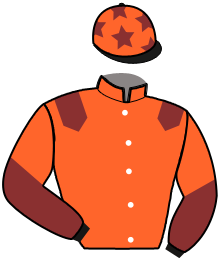 Casaque de JAIN DE JANVILLE