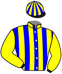 Casaque de HAYA GOLD