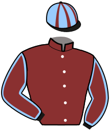 Casaque de MAGIC DE VAUVILLE