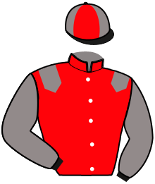 Casaque de JAMAICA DES ILES