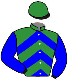 Casaque de SERIAL WINNER