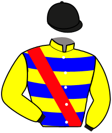 Casaque de VICTORY FIELD