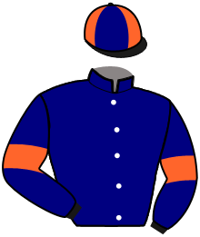 Casaque de MIRACLE DE CAPONET