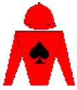 Casaque de ONE KEY