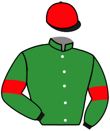 Casaque de AMAZING SURPRISE