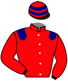 Casaque de LOBELYNE NEW LIFE