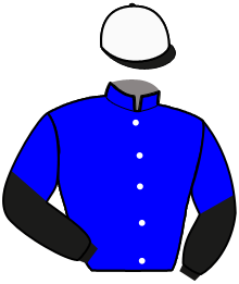 Casaque de FLORIDA BI