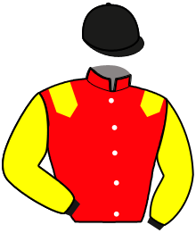 Casaque de GREG DE NIRO