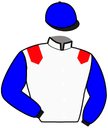 Casaque de L'ETOILE MASCAR