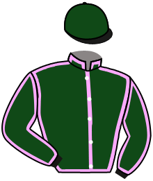 Casaque de NEW YORK D'ERABLE