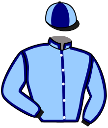 Casaque de RICHARD DE CLARE