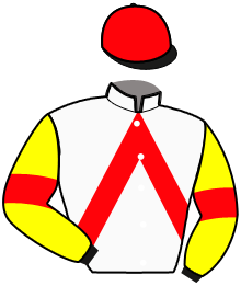 Casaque de LANCEUR D'ETOILE