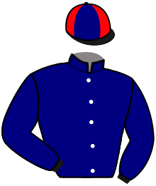 Casaque de MISTER CITY