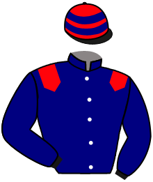 Casaque de DARYOZA