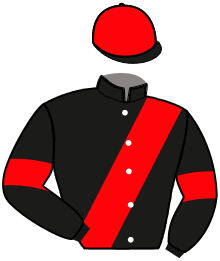 Casaque de GRYFFONDOR DU POLI