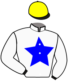 Casaque de HEROS DE MARZY