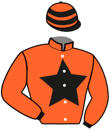 Casaque de NEW STAR DE JALE