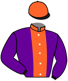 Casaque de SENORITO